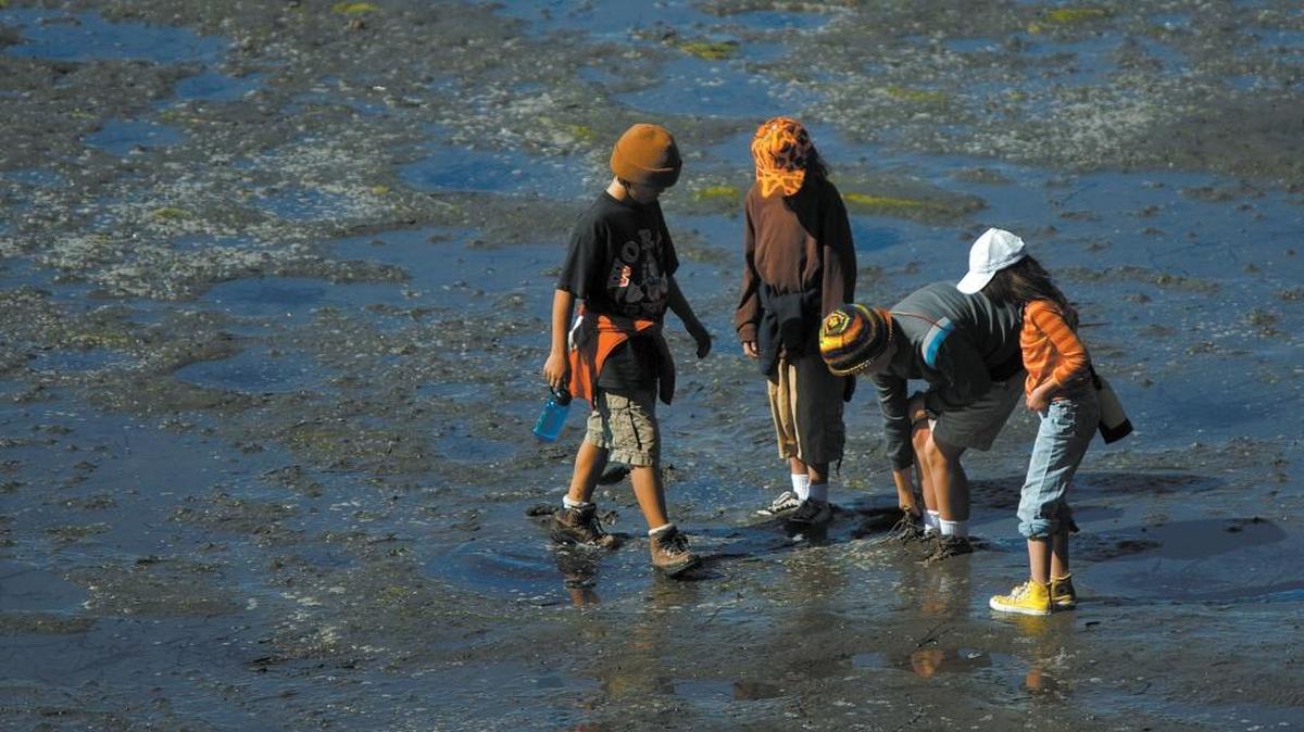 Students from Sequoyah elementary school in Pasadena are several days  this week at the Morro Bay estuary. Left to right: Noah Hudnet,10, Jamie Slatoff,9, Henry Krusoe,11, and Lauren get a close look at the mud in the estuary.
Photo Jayson Mellom
10/05/06