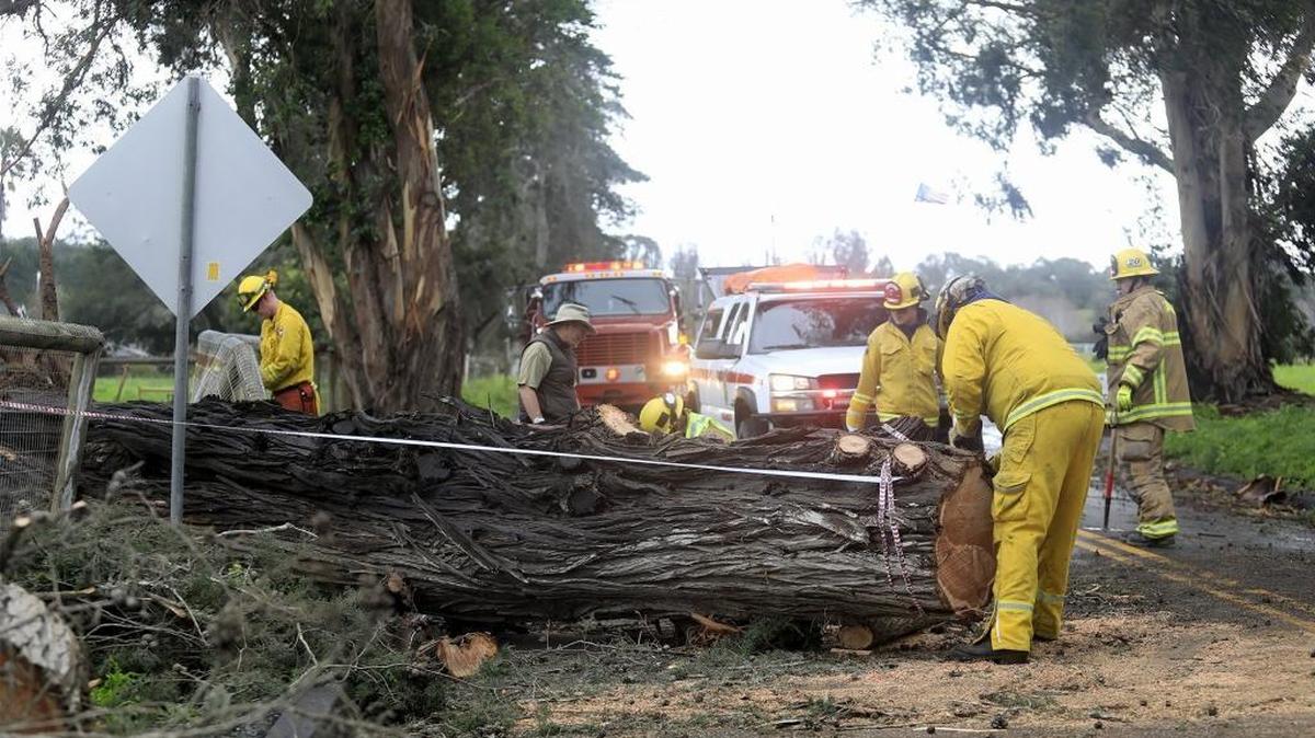 Winds and rain hit San Luis Obispo County on Sunday, January, 22, 2017, knocking down trees and power lines.
