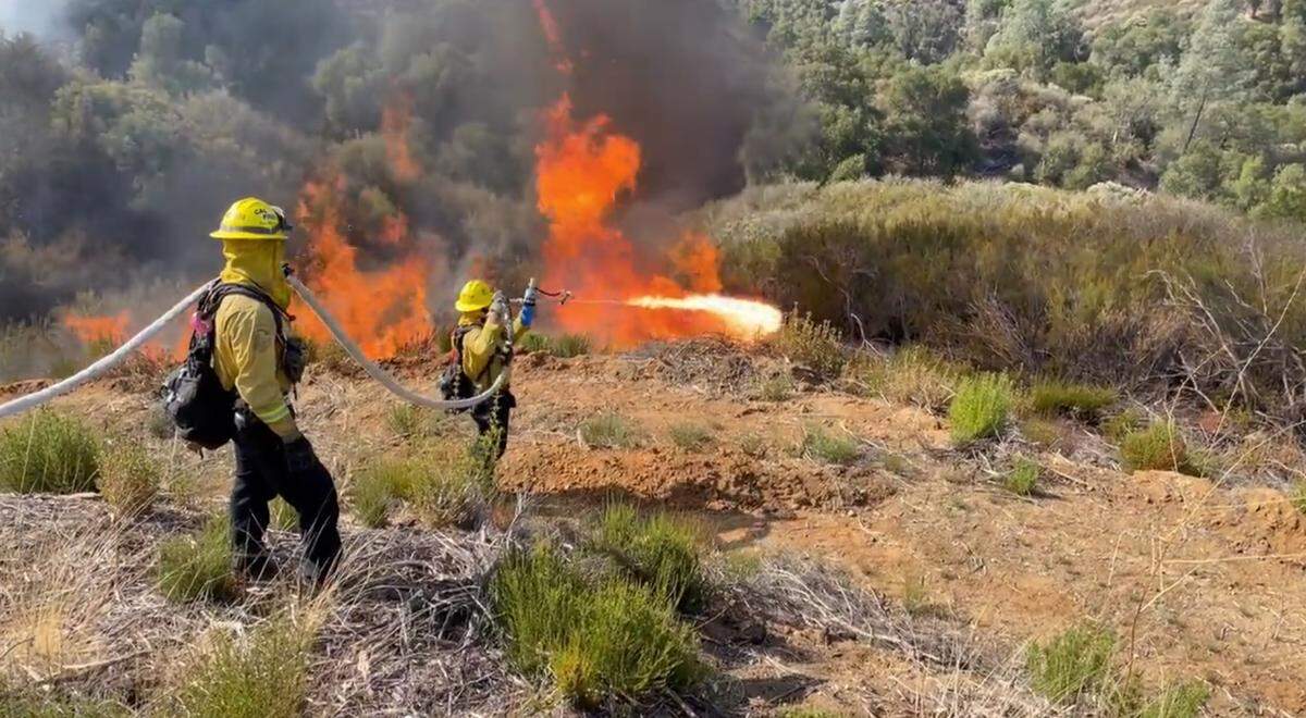 Firefighters spray flames into brush near Lake Nacimiento on Thursday, Oct. 13, 2022, during a prescribed burn by Cal Fire SLO County to reduce fuels during the drought.