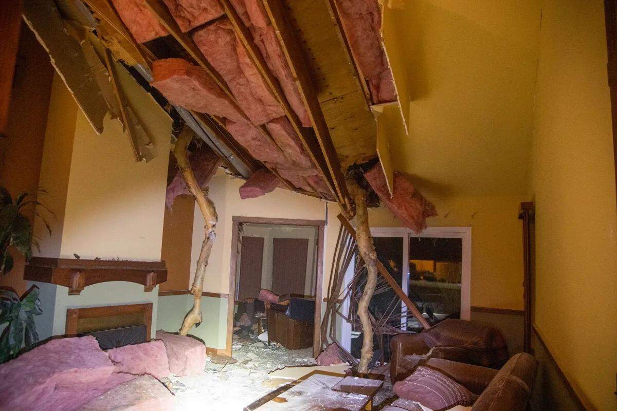 A large eucalyptus tree toppled into a condominium building in Goleta early Sunday, causing major damage. Two units were red tagged as uninhabitable.
