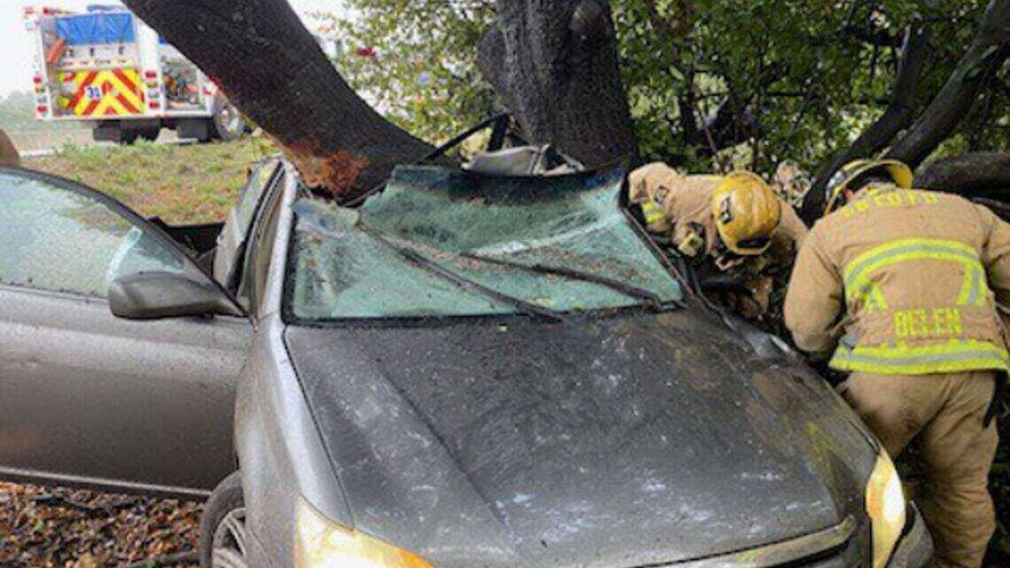 Driver ‘lucky to be alive’ after scary crash into a tree on Highway 101
