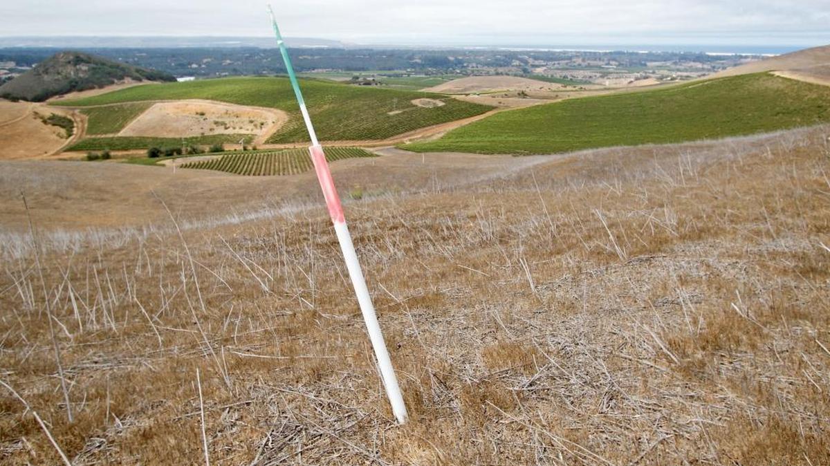 Posts mark the center point of rejected lots on the Laetitia Winery property. This view looks west to Highway 101 and the ocean.