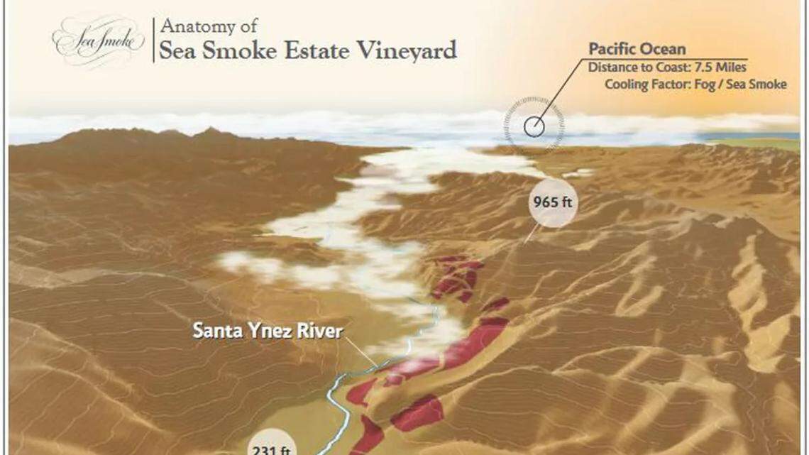 Beverage titan buys iconic Central Coast winery and vineyard