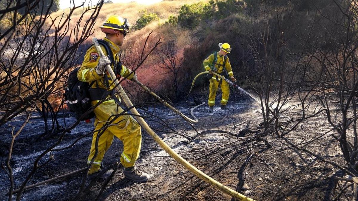 Cal Fire firefighters douse hotspots where flames burned an area of brush between northbound Highway 101 and the north Spring Street on-ramp in Paso Robles.