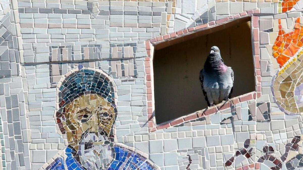 Pigeons roost in the 1997 Peter Ladochy Chinatown mosaic on the Palm Street garage in San Luis Obispo. Pioneer businessman Ah Louis is at left. Feb. 23, 2018.