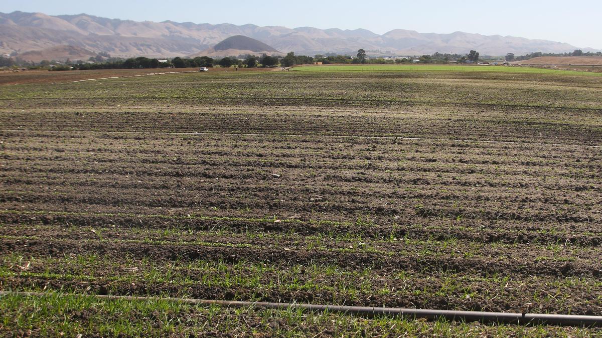 The 150-acre site of the future Avila Ranch housing development off Buckley Road in San Luis Obispo in a 2019 photo.