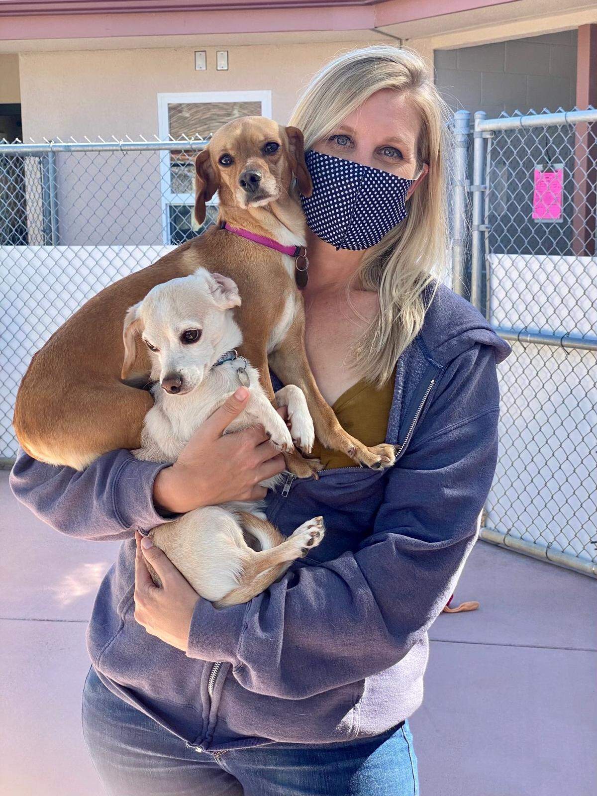 Two of the Woods Humane society dogs.