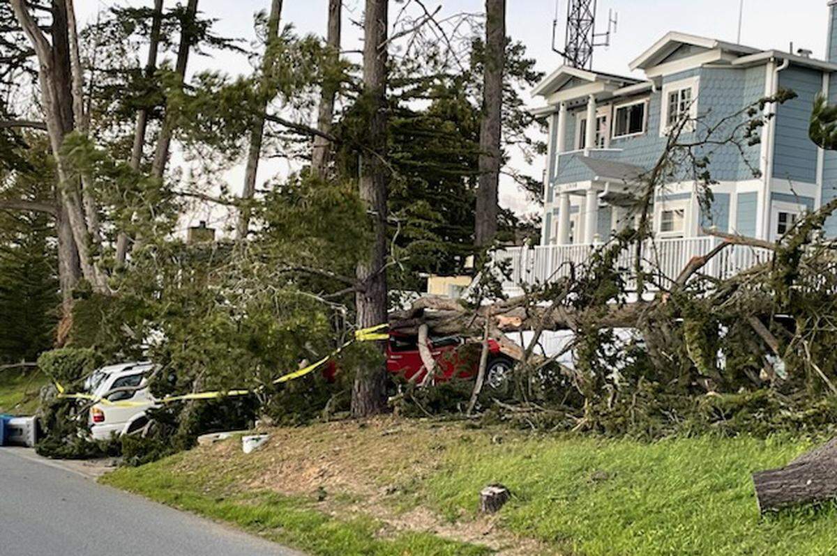 A large tree fell onto parked cars outside a home on Richard Drive in Cambria on Tuesday, Feb. 21, 2023.