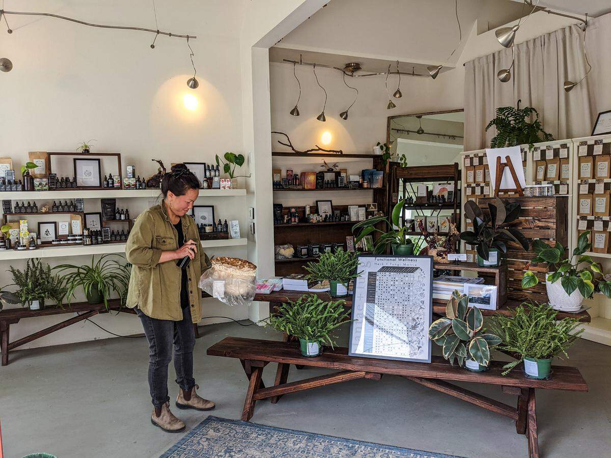 Meho Watanabe, co-owner of Cambria’s Plantae & Fungi store full of wellness products, give fresh, growing mushrooms a refreshingly misty drink.