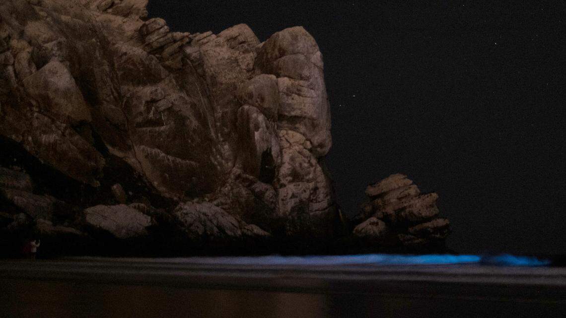 Waves light up blue in Morro Bay early Saturday, Sept. 23, 2023, thanks to tiny, single-celled creatures called bioluminescent dinoflagellates that produce bursts of light when disturbed.