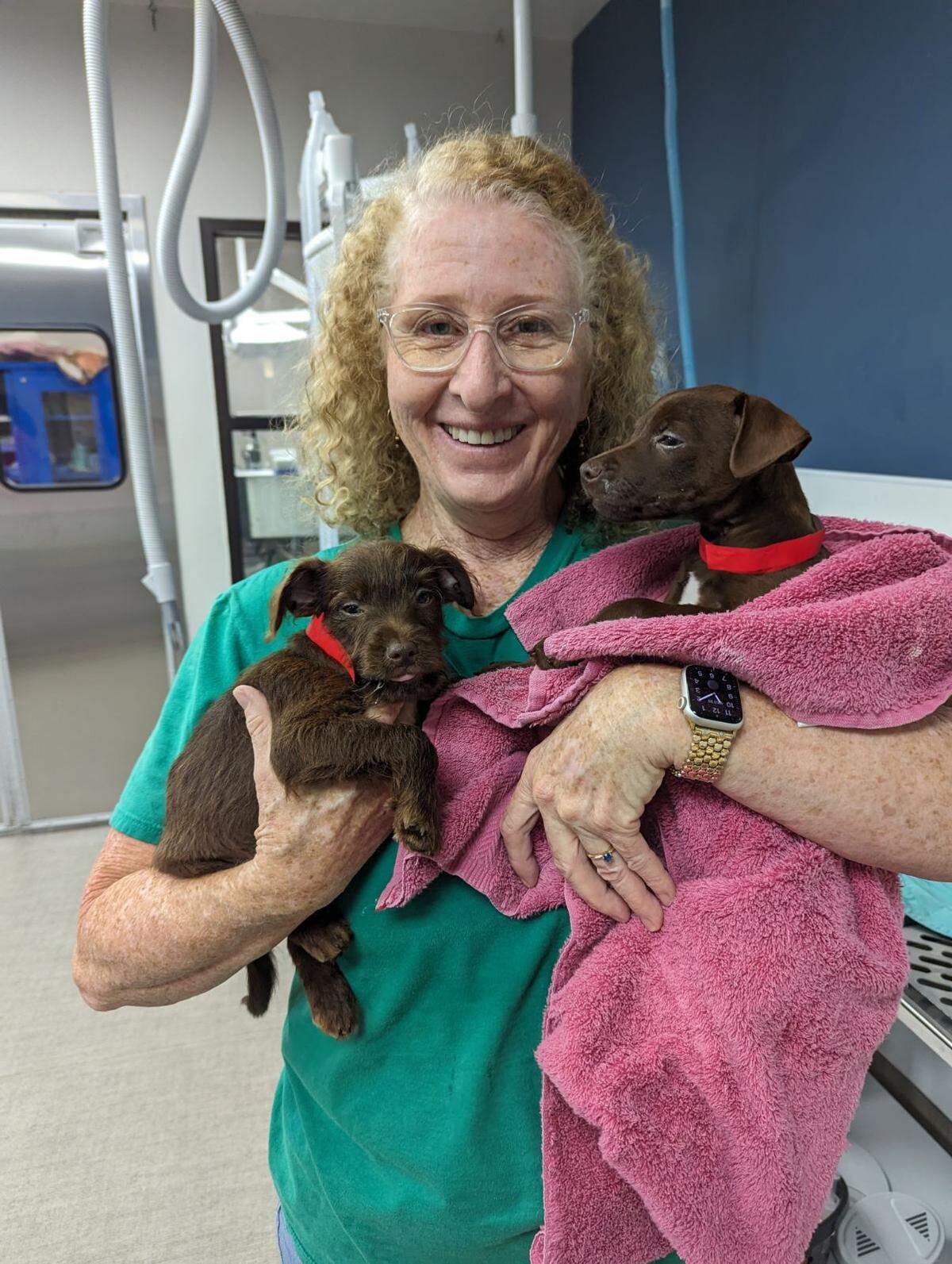 Sue Hefner has been a Woods Humane Society volunteer for about four years. She aids in the surgery center, as shown here, and has successfully fostered eight animals that were later adopted into their forever homes.