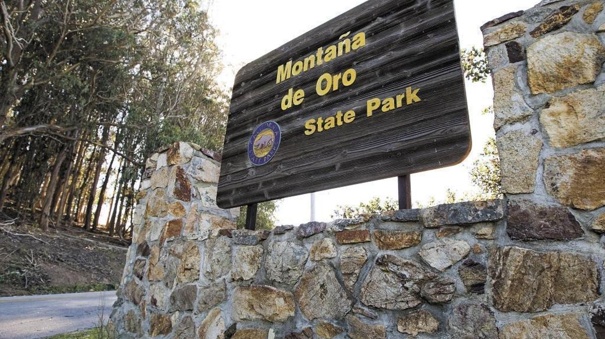 Officials are searching for a missing Fresno man at Montaña de Oro State Park.