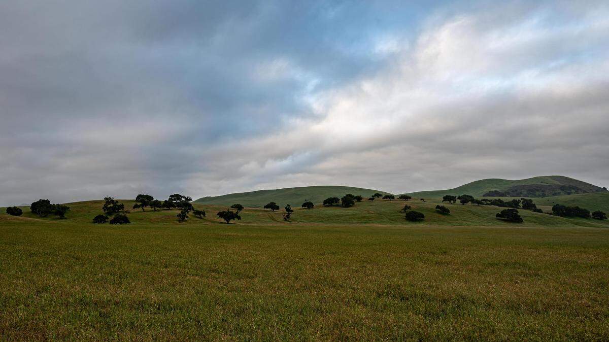 Highway 101 near Los Alamos, where the green rolling hills are already showing signs of change. With strengthening northwesterly winds and lengthening days rapidly drying the soil, these vibrant slopes will soon fade into hues of gold.