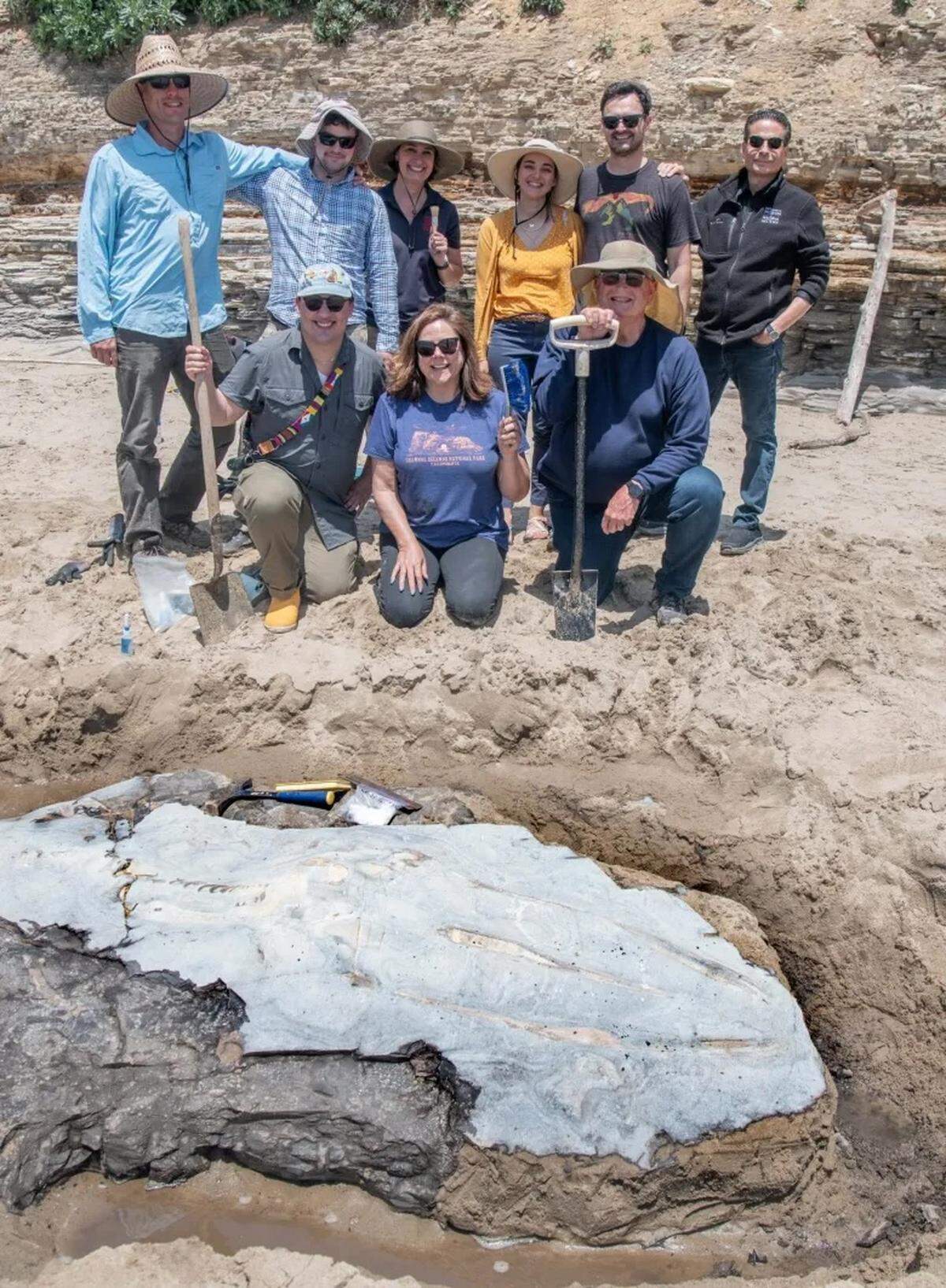 A 1,500-pound whale fossil was found along the Gaviota Coast. The Santa Barbara Museum of Natural History says the fossil is unique for how complete it is.