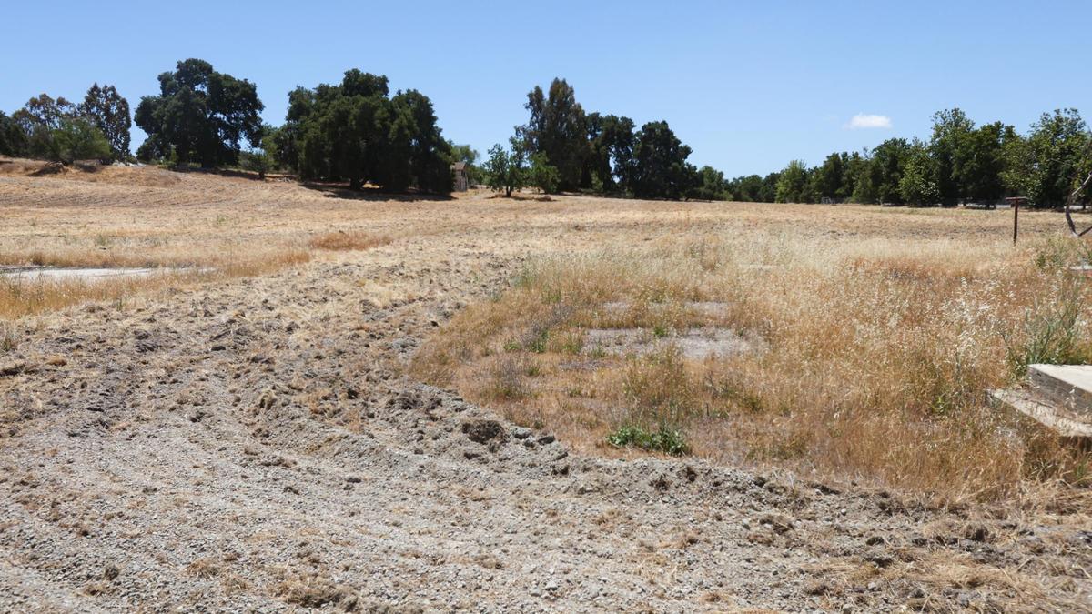 Developers are in escrow to buy the old Walmart property near the intersection of Del Rio Road and El Camino Real. It’s currently vacant, aside from an abandoned house.