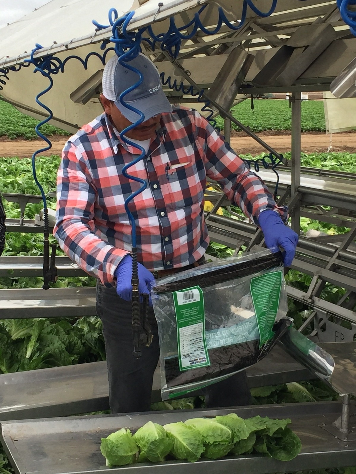 Farmworkers have been among the hardest hit by coronavirus impacts, according to some local leaders.