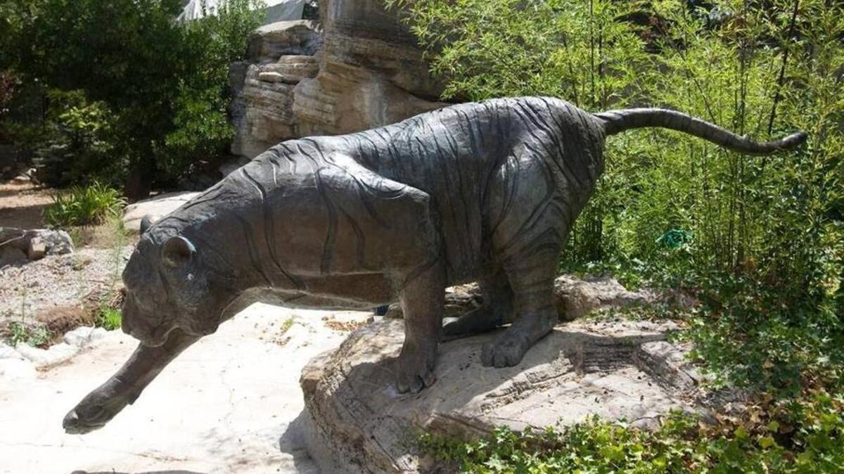 Susan Beatie’s bronze tiger welcomed visitors to Atascadero’s Charles Paddock Zoo for 25 years. It was removed in November 2016 for a complete refurbishment, and will return Friday, Feb. 17, 2017.