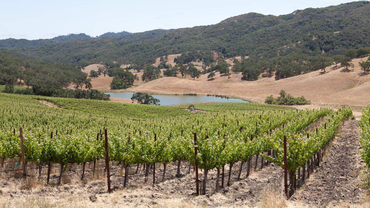 The 890-acre Adelaida Springs Ranch in San Luis Obispo County will be permanently protected by a conservation easement.