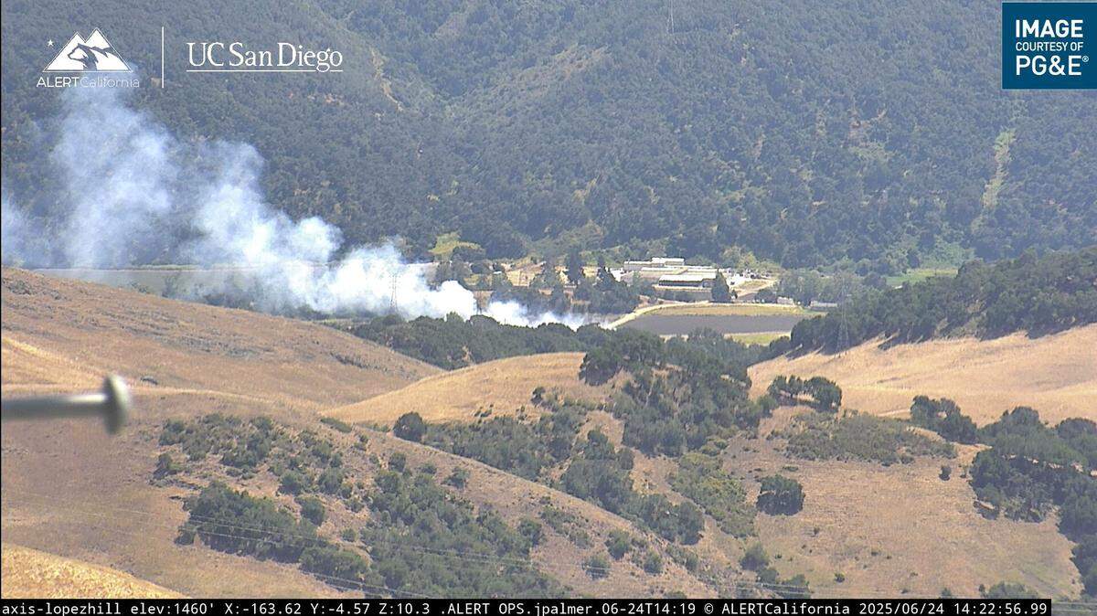 A vegetation fire burning in rural Arroyo Grande threatened one structure on June 24, 2025.
