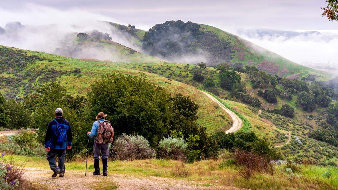 Learn tips for taking a safe, comfortable day hike or backpacking trip