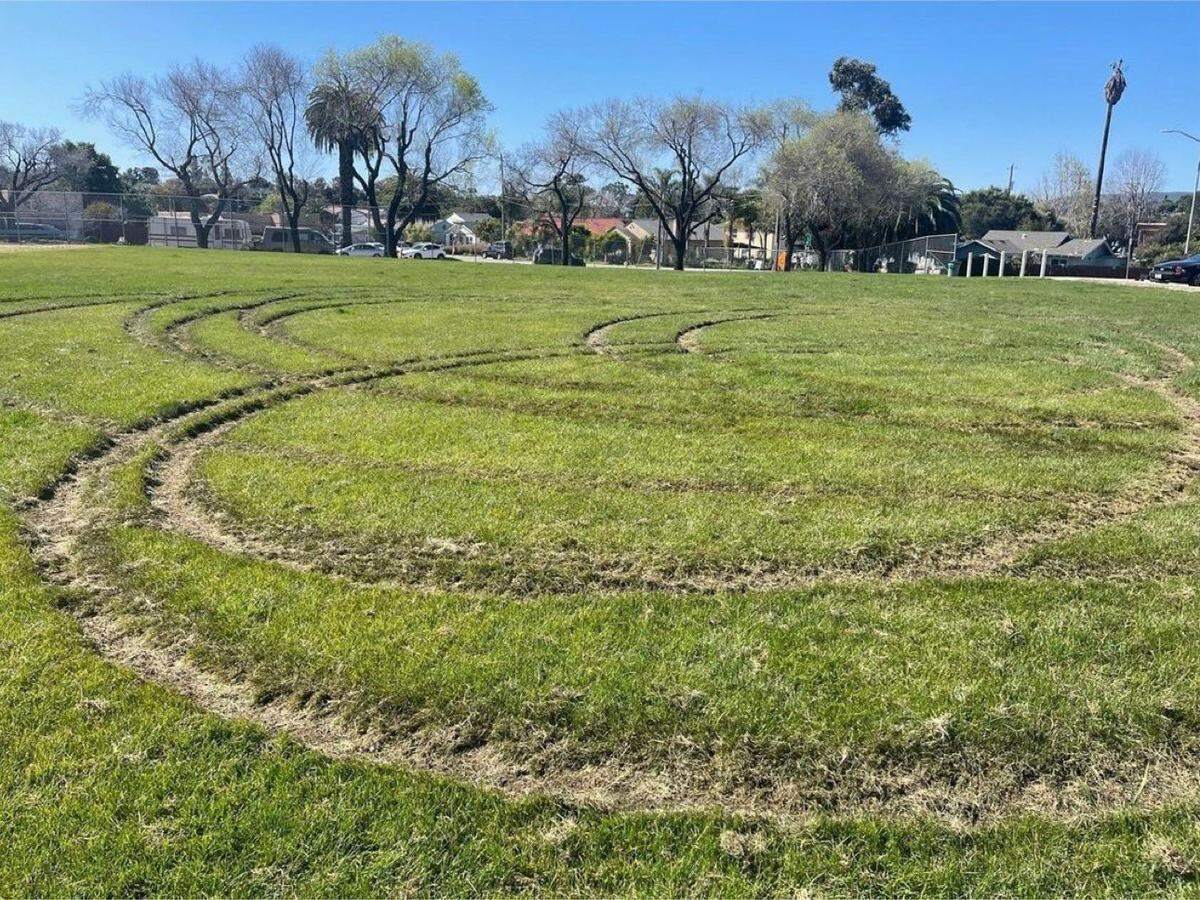 A city of San Luis Obispo employee found the lawn at Santa Rosa Park vandalized on Monday, April 8, 2024.