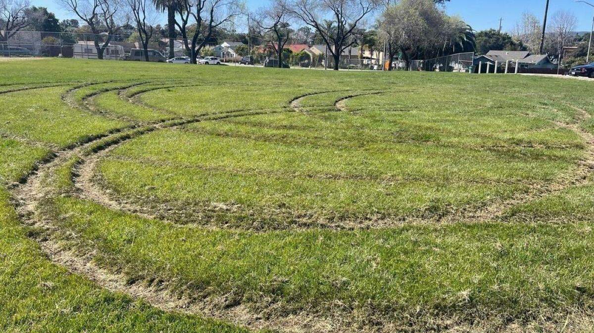 A city of San Luis Obispo employee found the lawn at Santa Rosa Park vandalized on Monday, April 8, 2024.