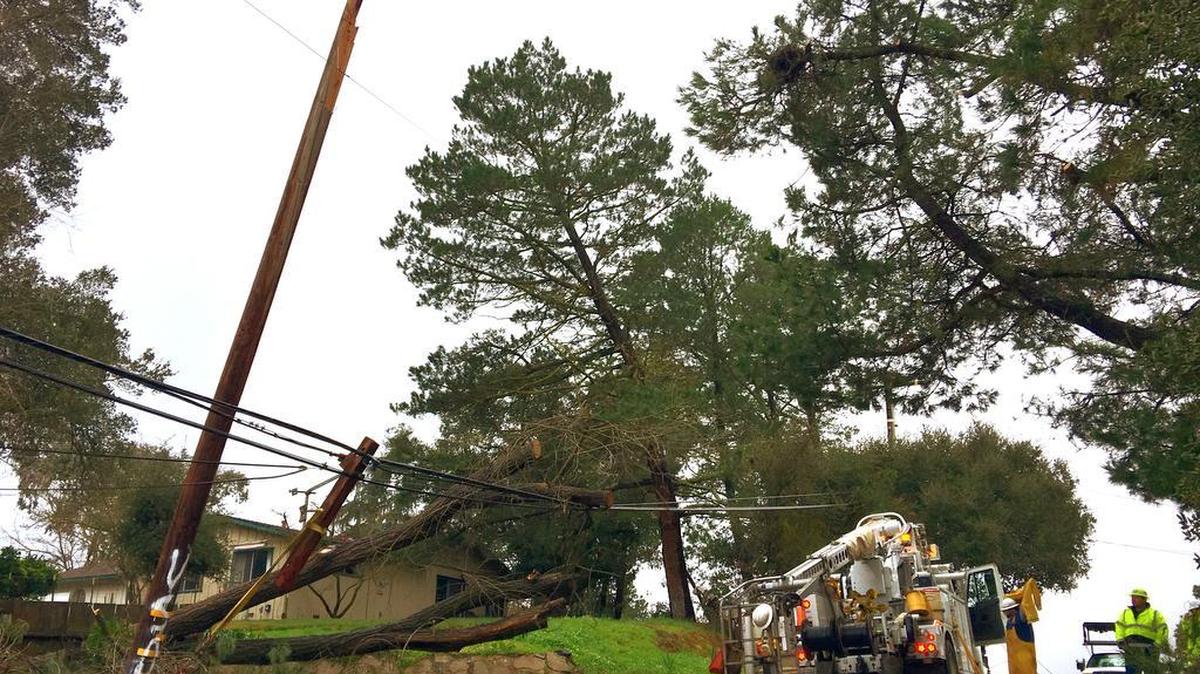 PG&E crews work on a fallen tree on San Jacinto Avenue between Fresno and Olmeda avenues in Atascadero on Sunday, Jan. 22, 2017. Power went out in that area about 7:45 a.m. Sunday and had not been restored by 5:30 p.m.