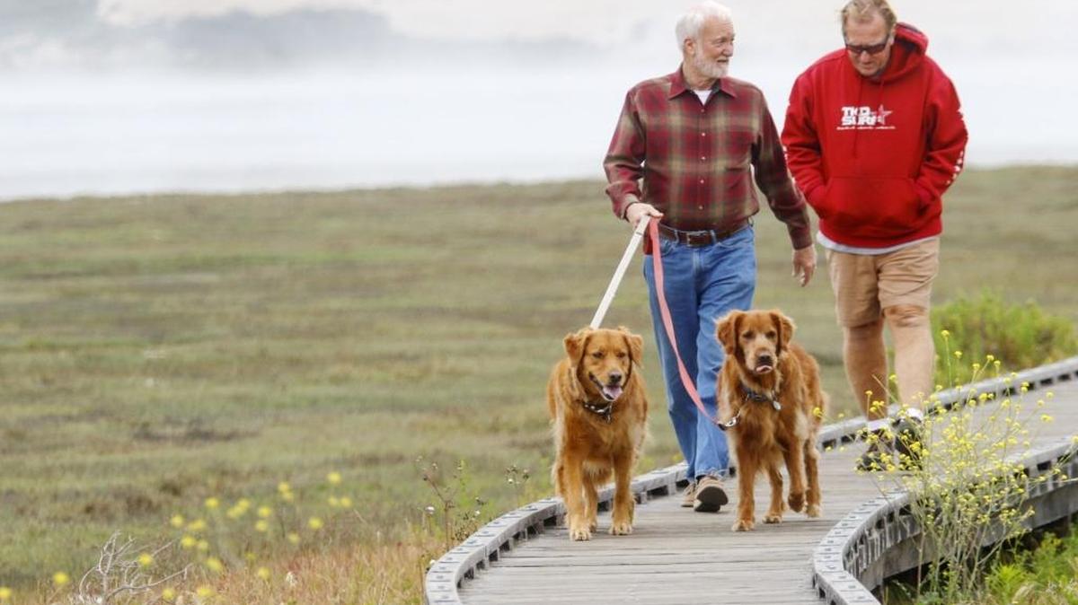 Clive Towndrow walks Stella, left, and Darrin and chats with friend Steve Ward on the boardwalk near the Morro Bay Marina. Morro Bay weather was foggy as temps rose up inland. But even with summer taking over the Central Coast, the dogs just looked happy to be out.