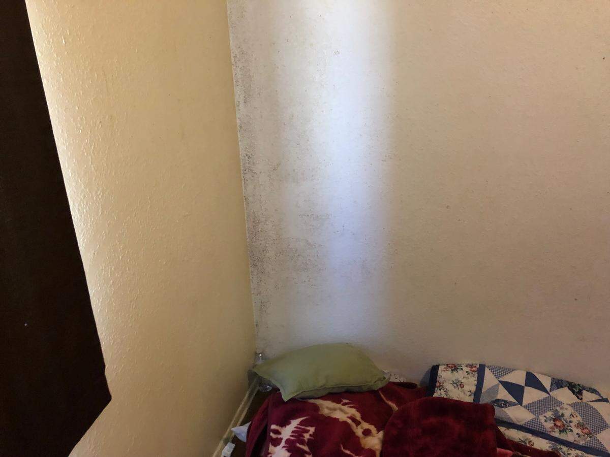 A Grand View tenant’s wall is covered with black mold.