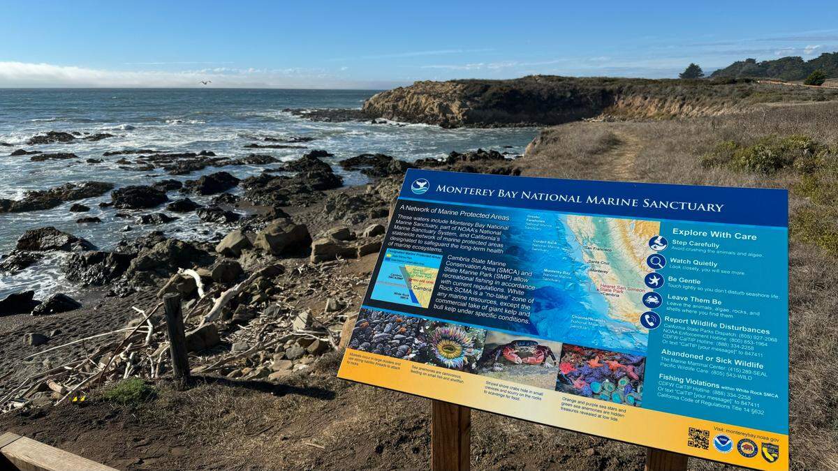 New informational signs on the Monterey Bay National Marine Sanctuary have been added to the Moonstone Beach boardwalk in Cambria. Environmental advocates want the northern boundary of the proposed Chumash Heritage National Marine Sanctuary to extend to the meet the Monterey Bay sanctuary while the three offshore wind companies who’ve won leases to place turbines in the ocean would like that boundary moved farther south.