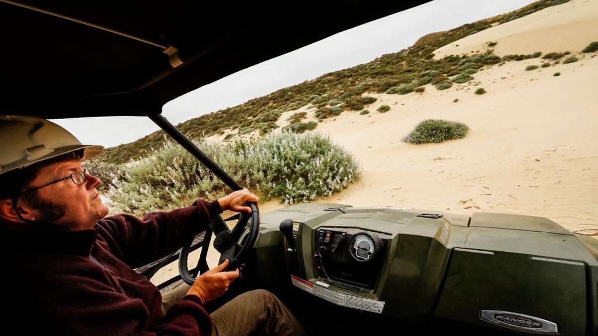 Michael Brady with the U.S. Fish and Wildlife Service drives through the Guadalupe Nipomo Dunes Wildlife Refuge during a tour with the Tribune.