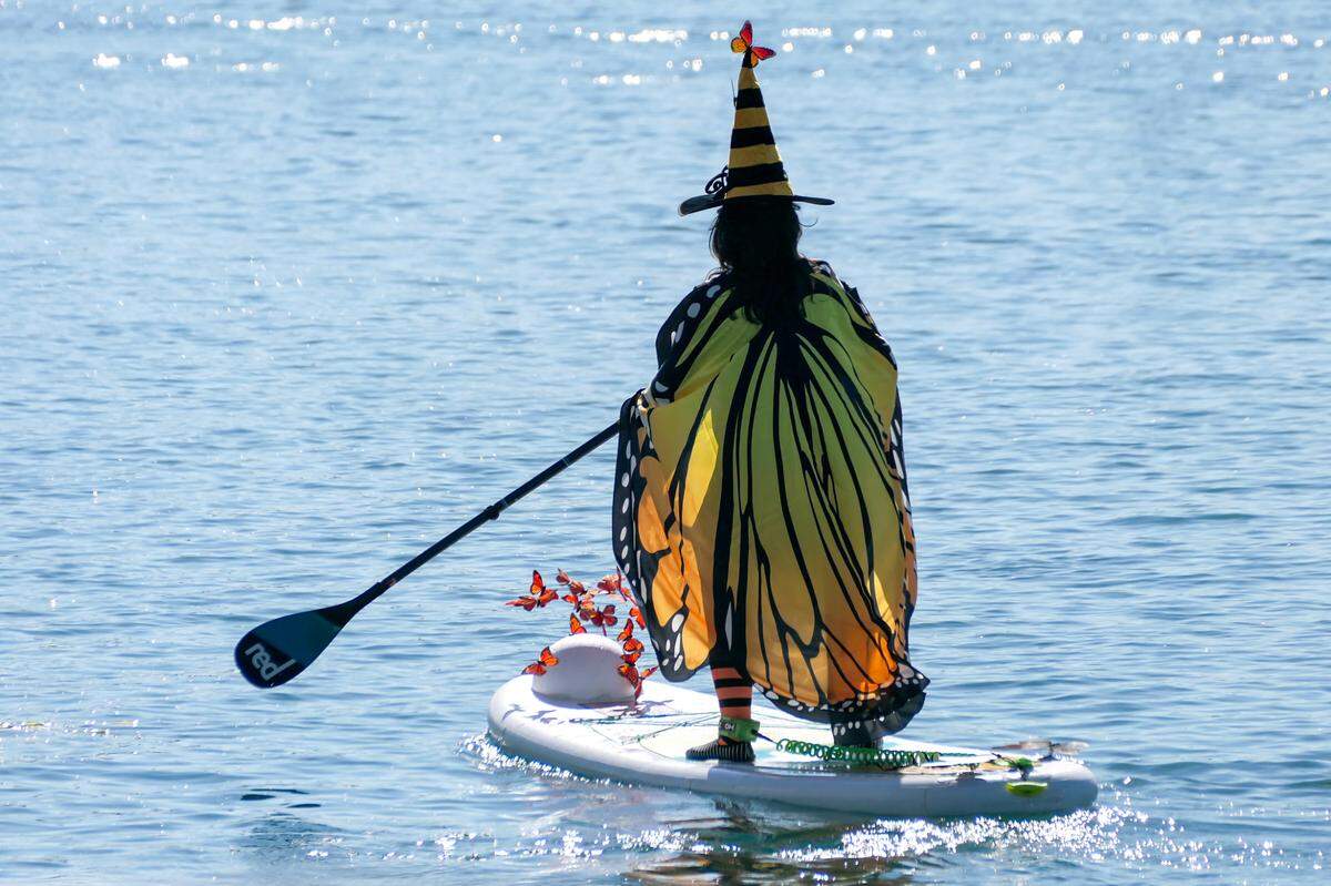 Hundreds of people turned out for the 10th annual Witches and Warlocks Paddle in Morro Bay on Oct. 29, 2023.