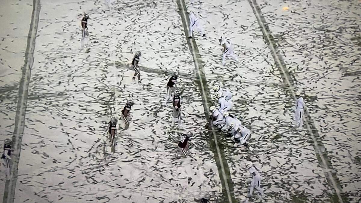 Wearing white from head to tow, the Mustangs blended in to the snowy field at Montana. Cal Poly lost 57-0 on Nov. 5, 2022.