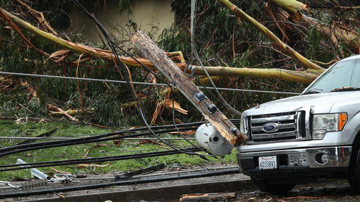 The Pike was closed from South Elm to Halcyon Road in Arroyo Grande on Feb. 4, 2024, due to downed eucalyptus trees. Residents in the area were told to shelter in place as power lines were blocking homes.