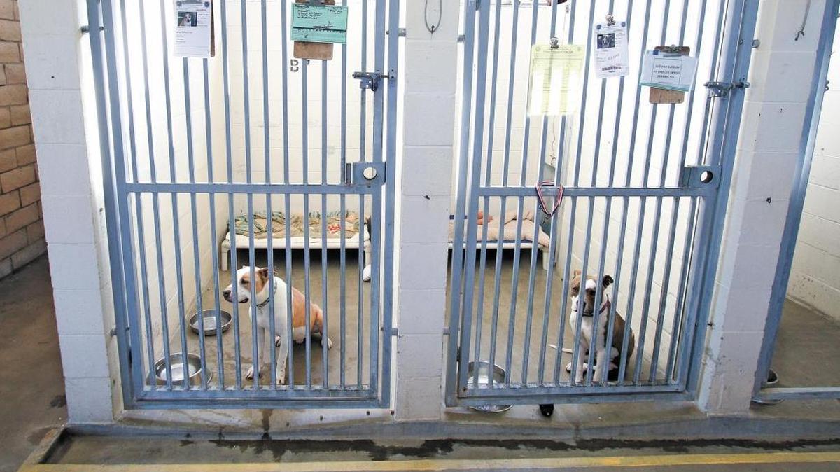 The county animal shelter, built in the 1970s on an old Camp San Luis Obispo landfill, is set to be replaced by a new facility.