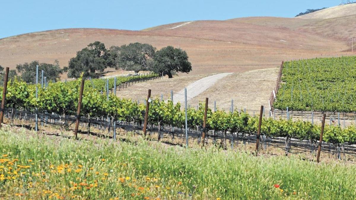 Laetitia Winery south of Arroyo Grande.