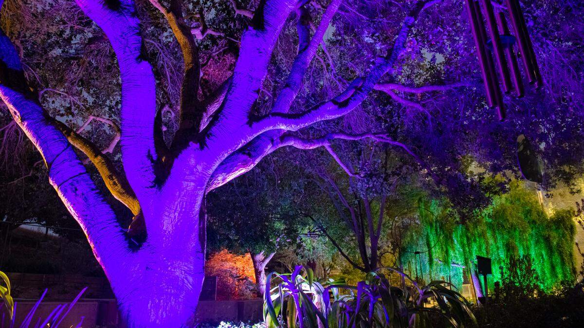 The San Luis Obispo Botanical Garden will launch Nature Nights in November, featuring large-format light projections by artist Bryn Forbes, illuminated wire sculptures by Michael Reddell and artistic lighting of garden areas by artist Kody Cava.
