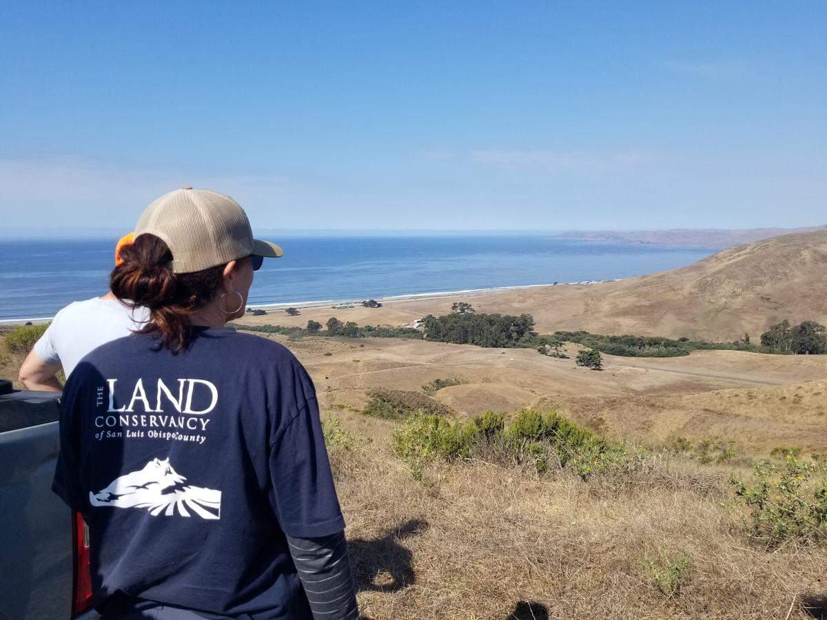 The Land Conservancy of San Luis Obispo County bought a 750-acre Morro Bay property from Chevron on Feb. 6, 2025. The land will be part of the county-managed Toro Creek Park.