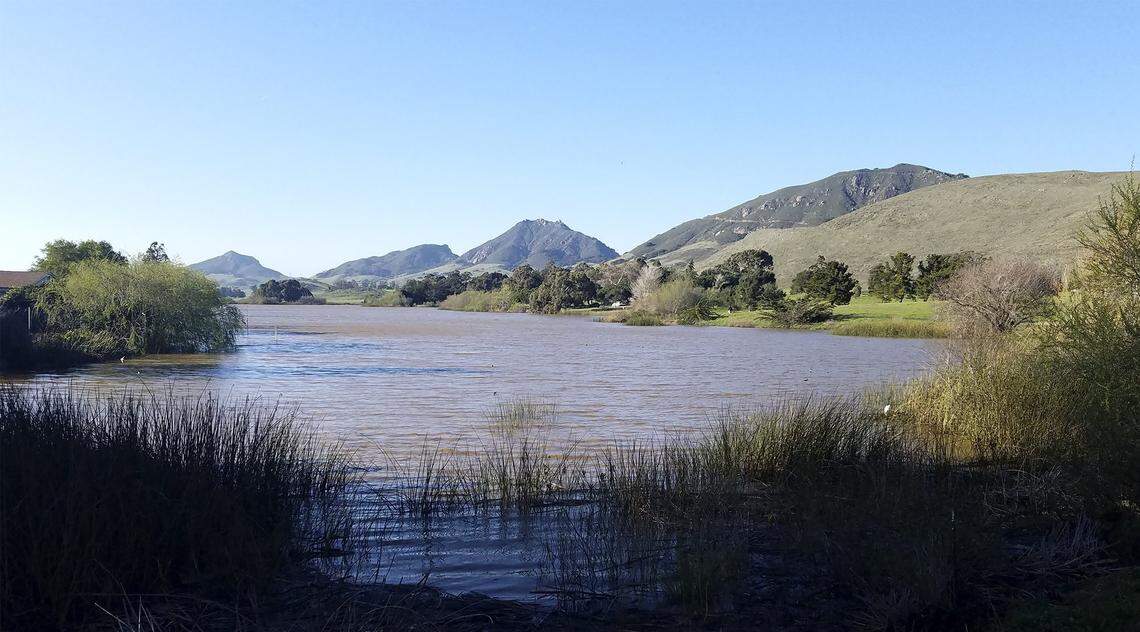 Laguna Lake on March 23 after three days of steady rain. Natural resource maintenance on the lake is one of the city's 73 unfunded projects.