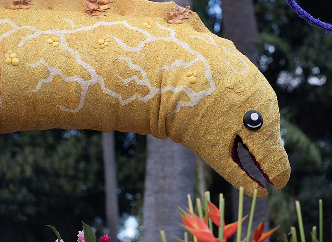 Three yellow eels power the instruments with their electric current on Cal Poly’s 2024 rose float.