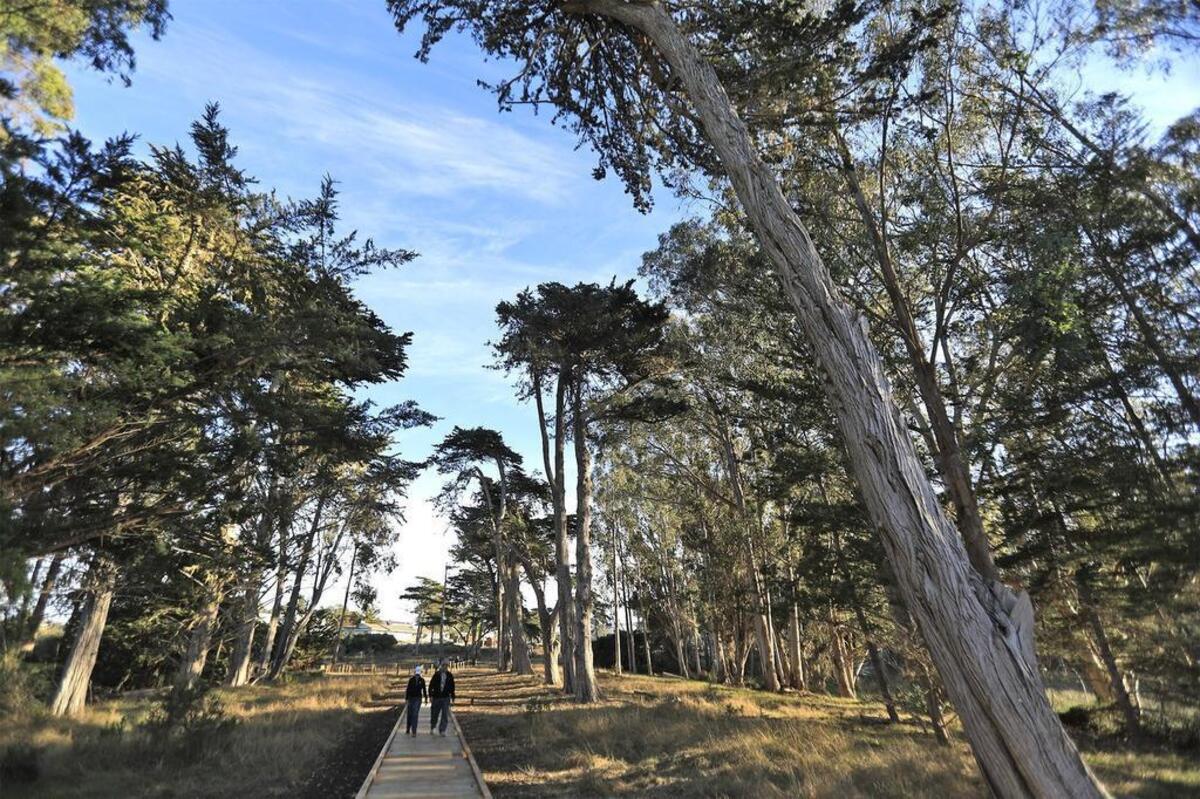 Jim and Donna Howard of Los Osos walk down a trail at Sweet Springs Nature Preserve in Los Osos, toward the viewing deck next to the Morro Bay National Estuary.