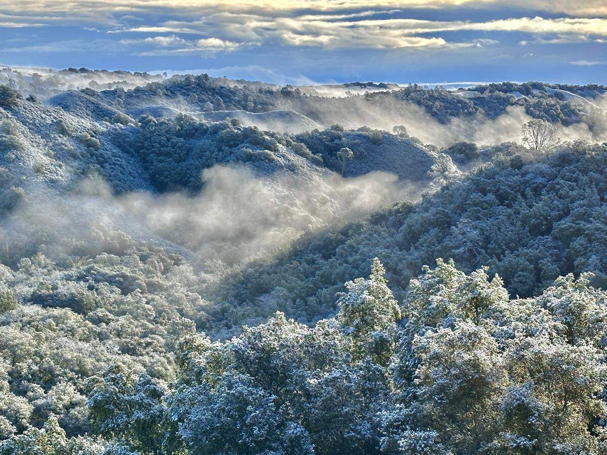 Mist clings to rolling hills of snowy trees along on Highway 46 West on Thursday, Feb. 23, 2023.