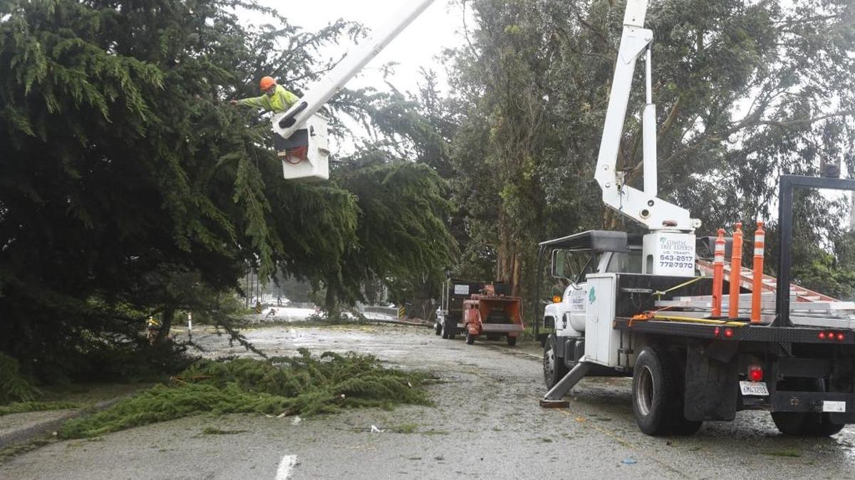 Luis Mondragon cuts a tree that fell into utility lines on Main St. near Highway 41 Friday, February 17, 2017.
