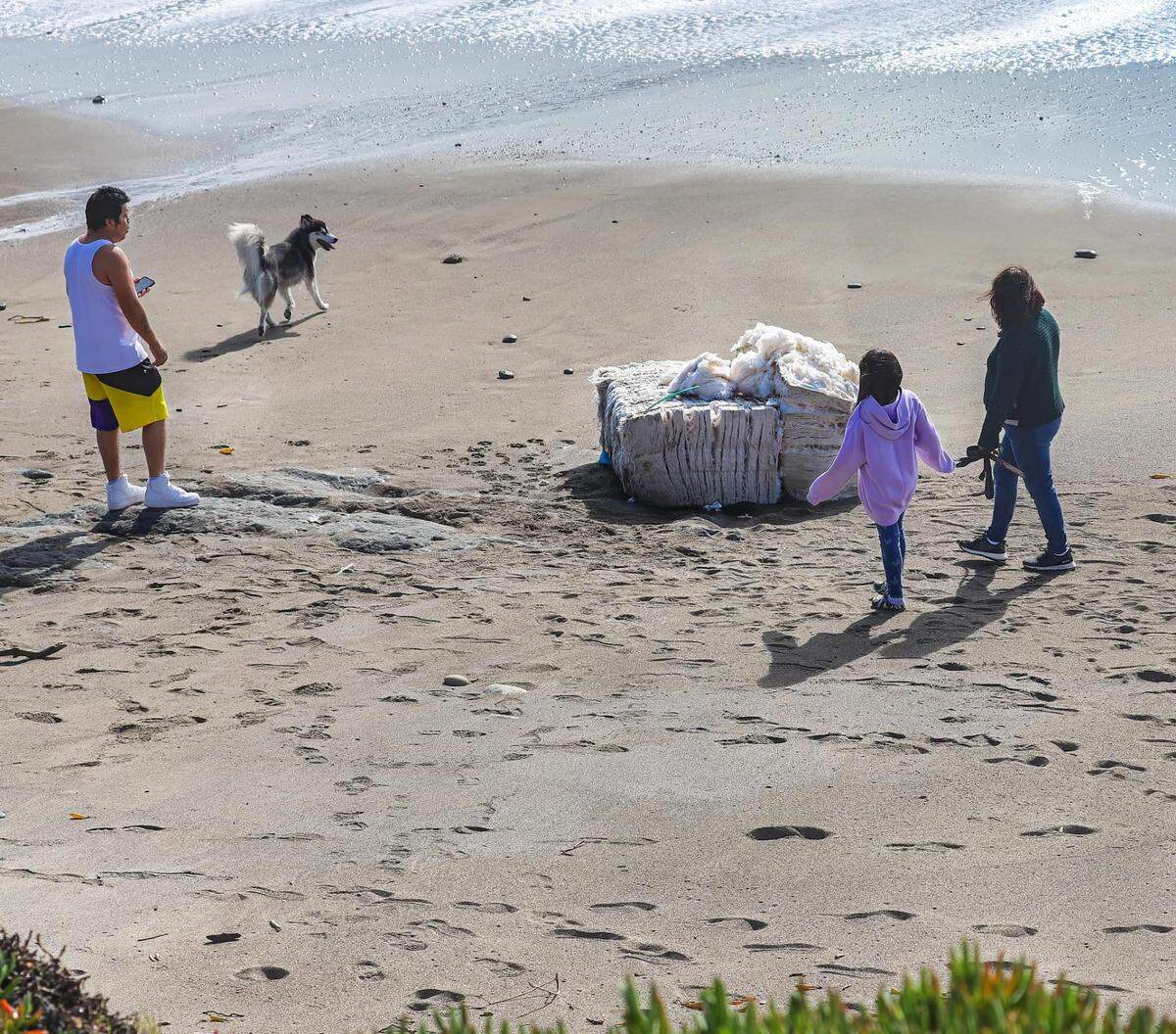 Bales of cotton washed up on San Luis Obispo County shoes on Sunday, March 3, 2024, including at elephant sea beaches near San Simeon.