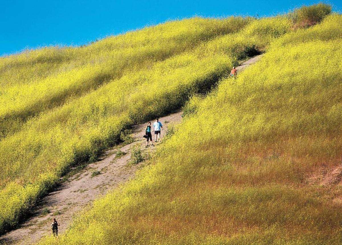 Hikers make their way along the steep section of Ontario Ridge Trail near Pirates Cove.