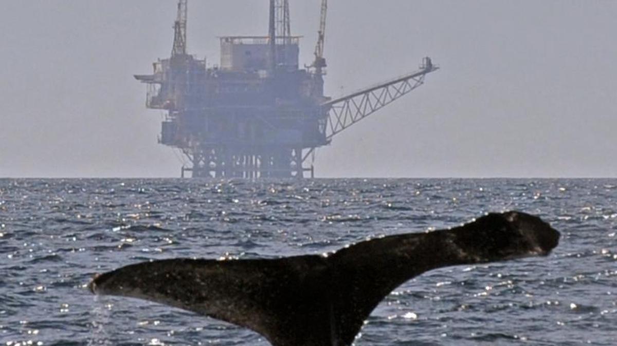 The San Luis Obispo County Board of Supervisors rejects two proposals to oppose President Donald Trump’s offshore oil exploration plan.