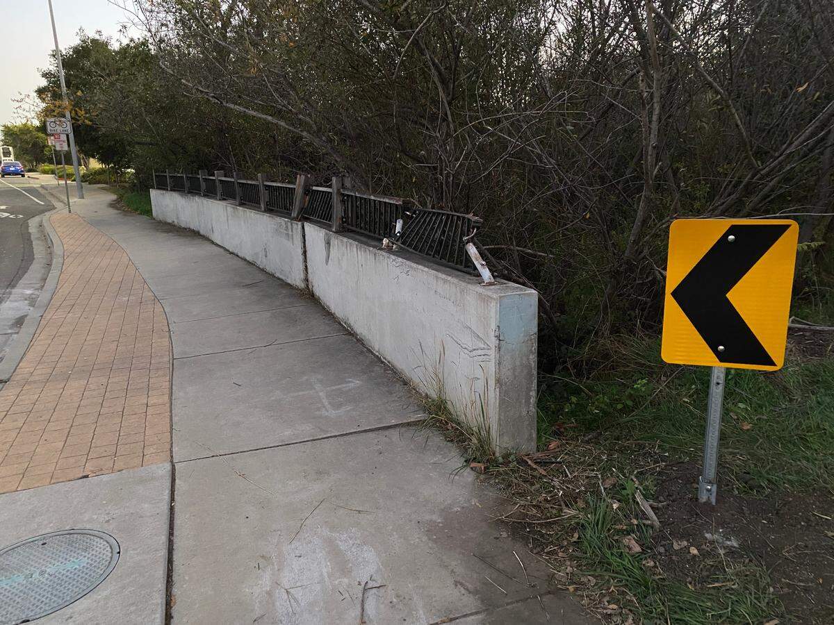 The bodies of two San Luis Obispo residents and their dog were found in heavy brush in the creekbed near the 3400 block of Sacramento Drive on Tuesday, Nov. 22, 2022. A day earlier a car crashed into the bridge abutment, and police are investigating whether it might be linked to the deaths.