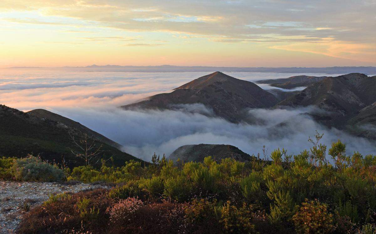 Marine low clouds surround Valencia Peak at Montaña de Oro State Park.