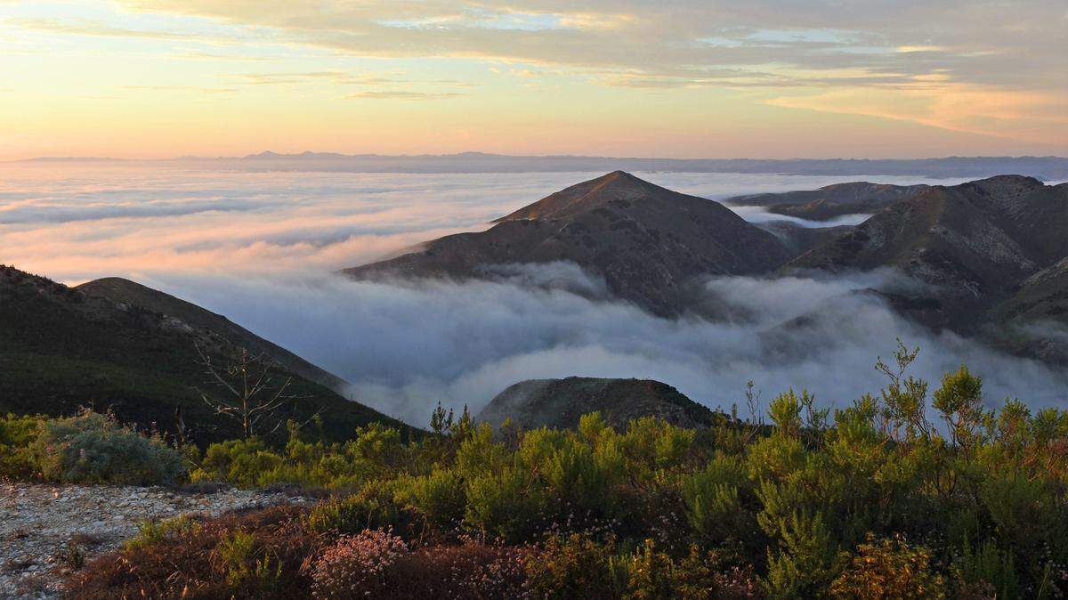 Marine low clouds surround Valencia Peak at Montaña de Oro State Park.