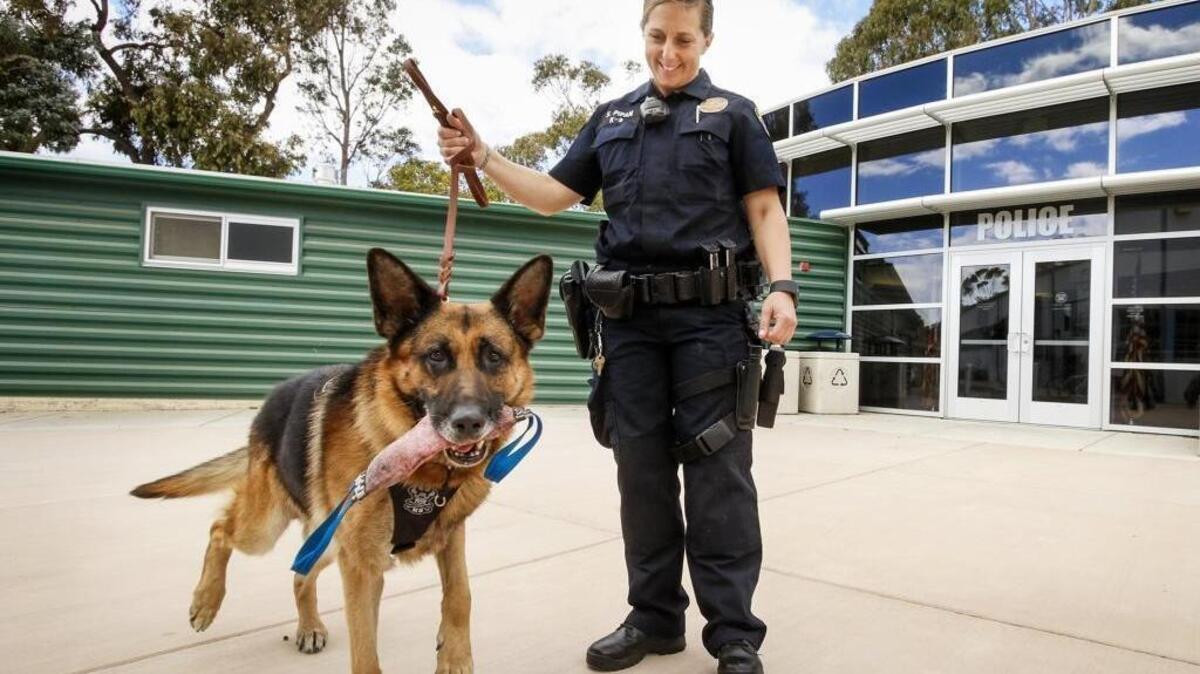 Cal Poly police officer Stephanie Pipan with her canine partner Xello, a German shepherd. Xello is retiring after seven years of service to the community.